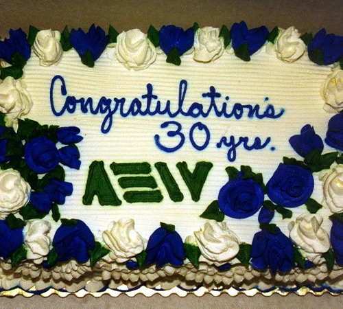 celebrating 30 years of aew