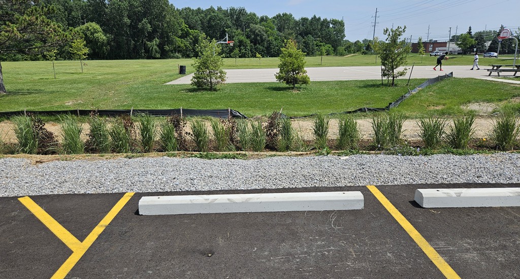 20240801_135413 copy WEB