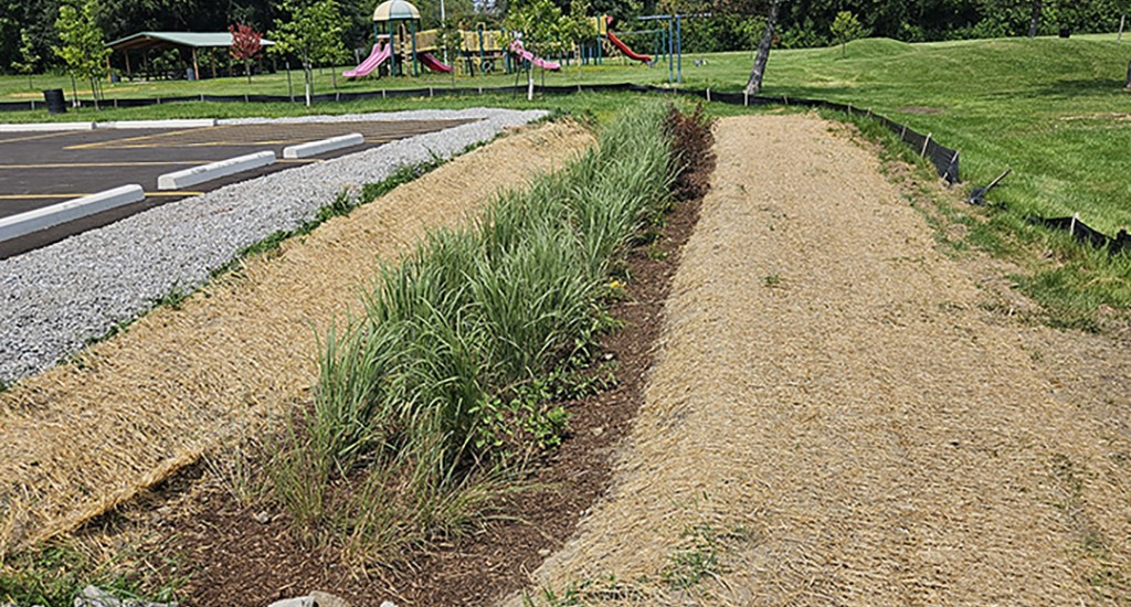 20240801_135434 copy WEB