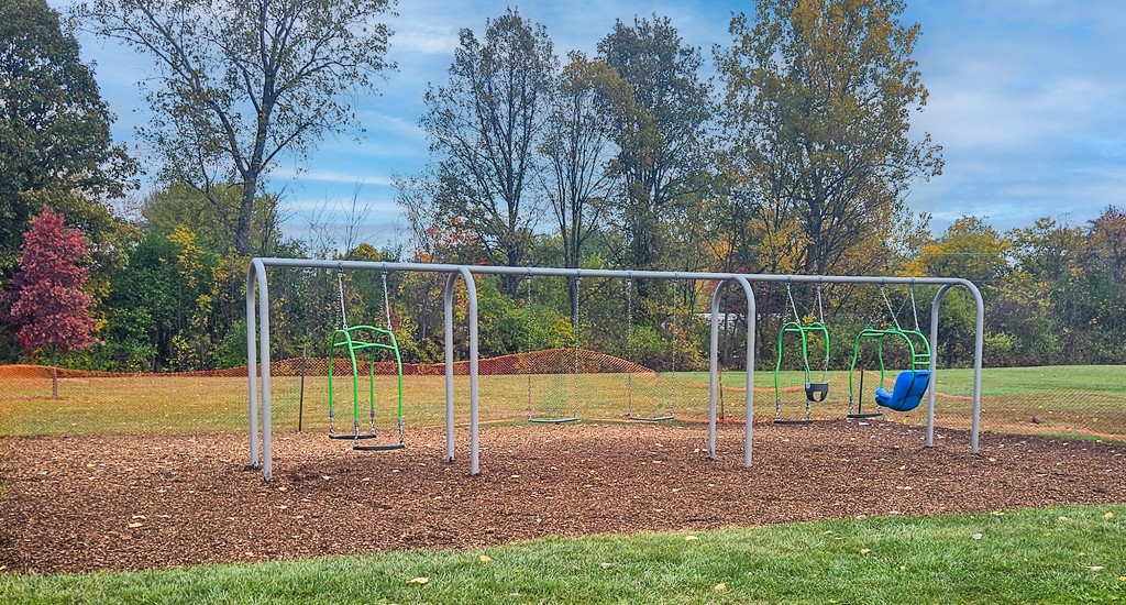 Swings copy-2 copy-2 WEB